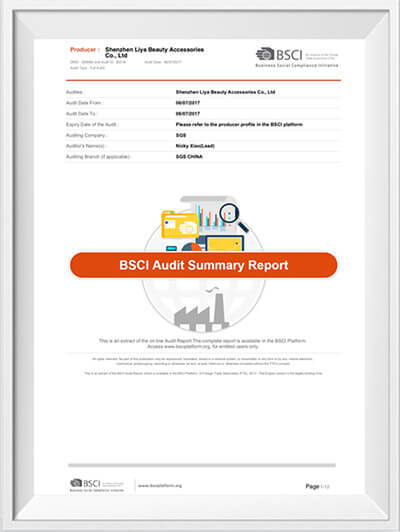 bsci certification
