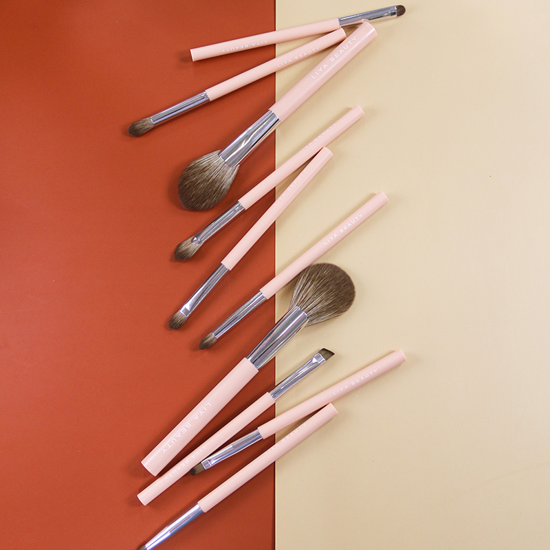 Light pink 10pcs makeup brush set with plastic handle